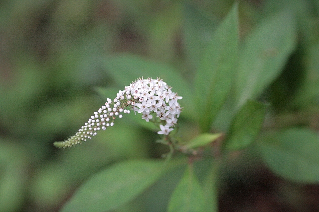 d0133693_213249100.jpg