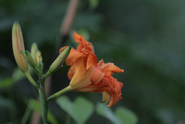 d0133693_2133270.jpg