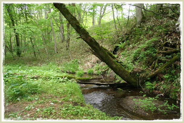 f0146493_23132134.jpg