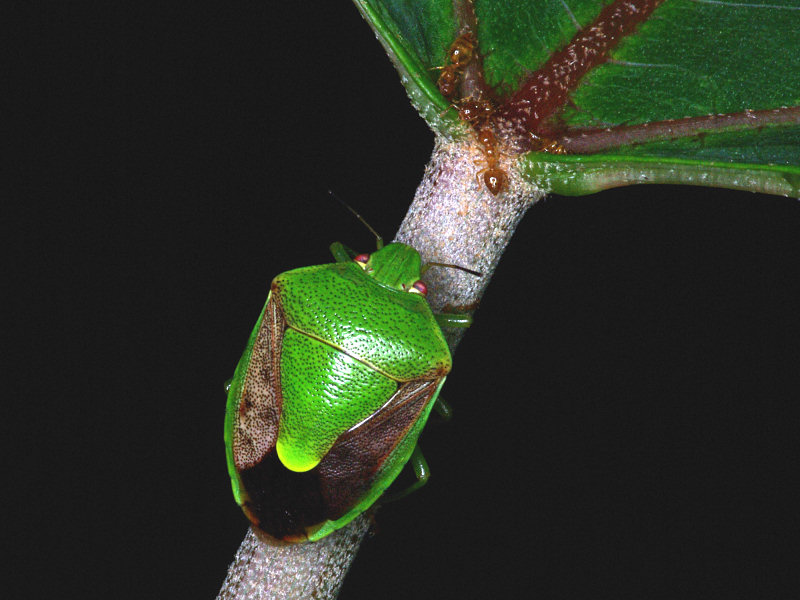 f0204094_15131110.jpg