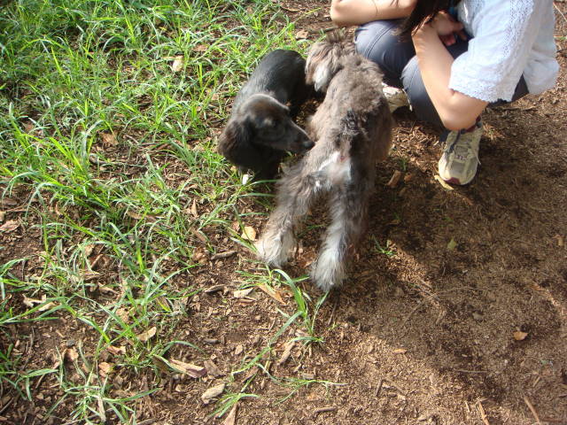d0098295_16341962.jpg