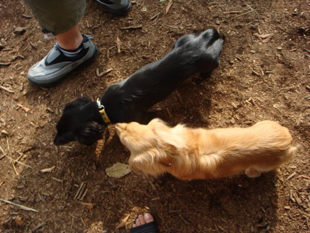 d0098295_16351459.jpg