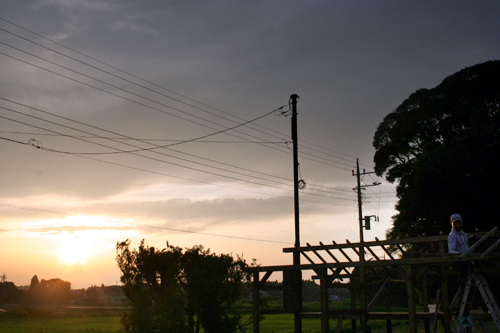 d0100095_8423393.jpg