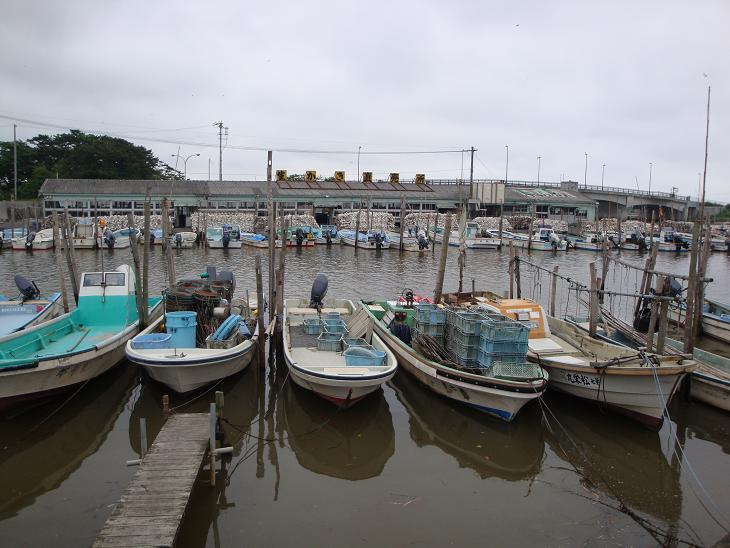 野蒜海岸でのび～る_f0075595_2383068.jpg