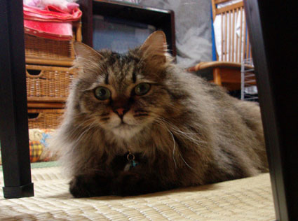 d0071596_2155023.jpg