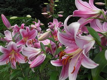 港の見える丘公園にて_b0105897_23714.jpg
