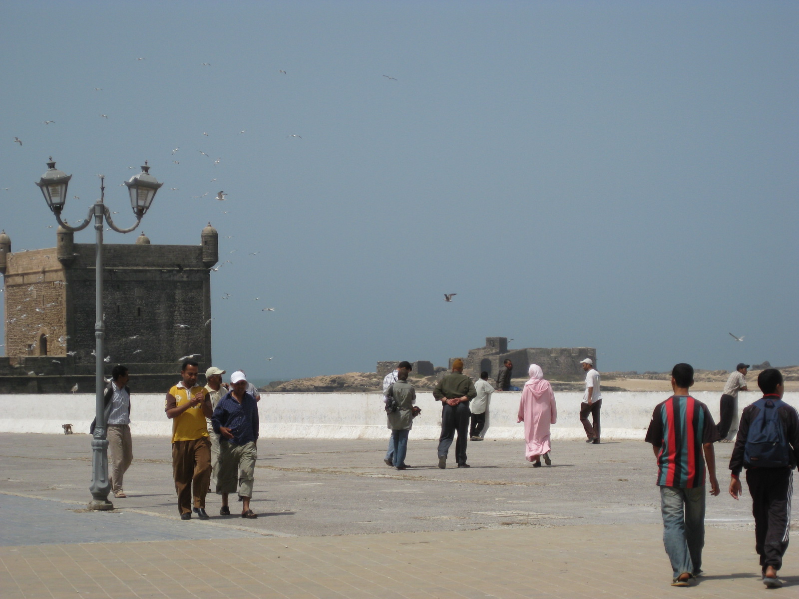 d0131698_14435349.jpg