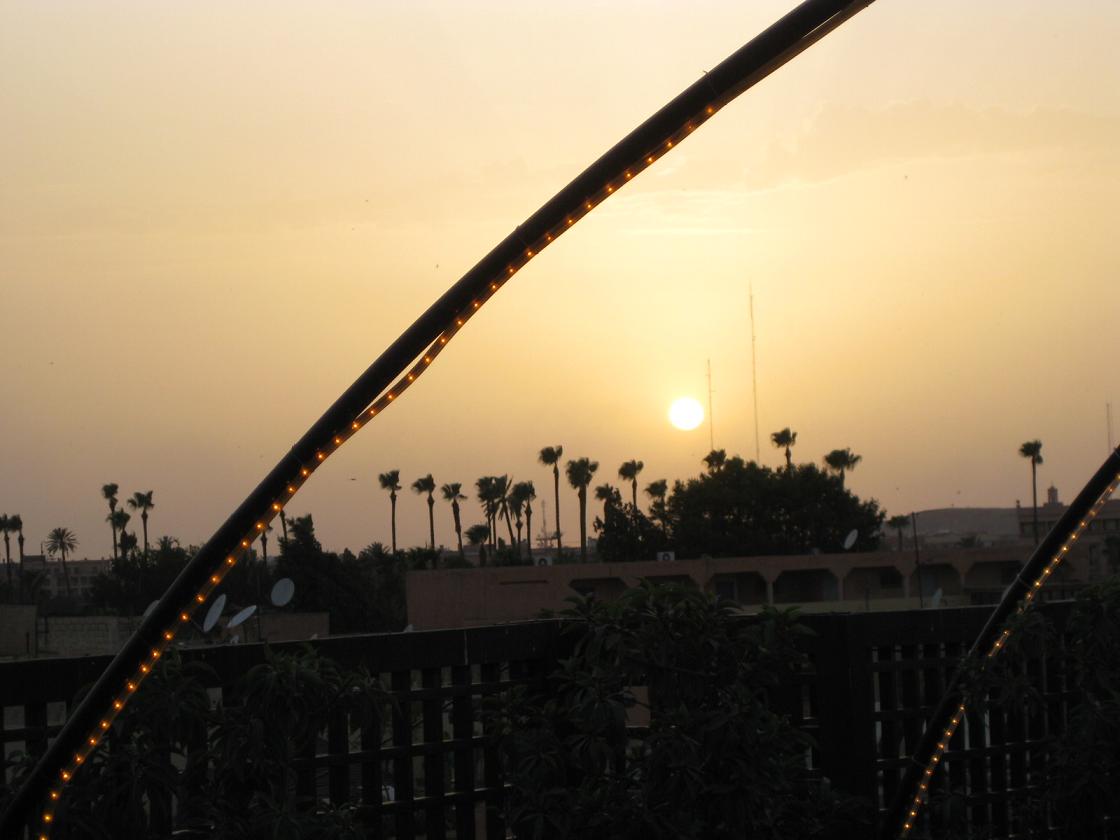 d0131698_1753479.jpg
