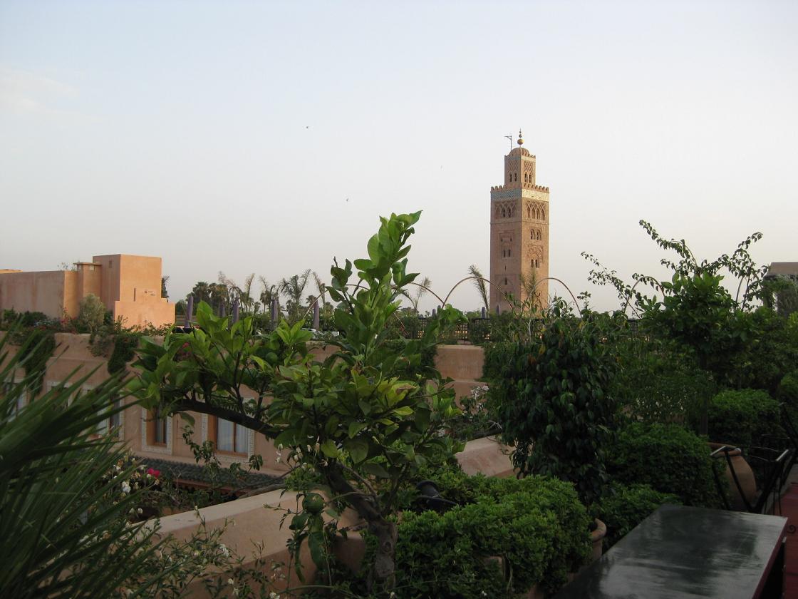 d0131698_1753483.jpg