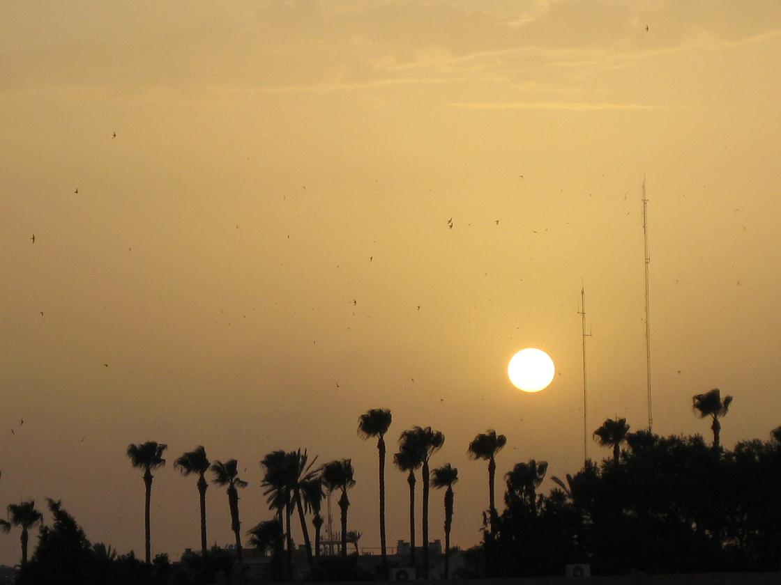 d0131698_17541895.jpg