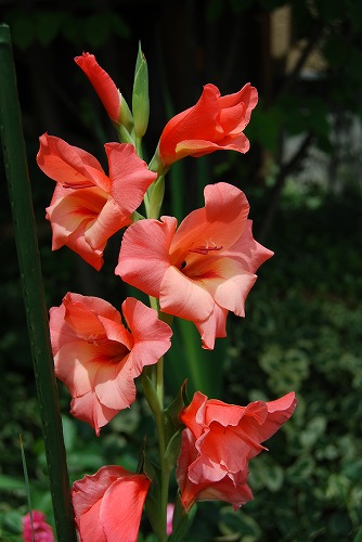 c0124100_16251547.jpg
