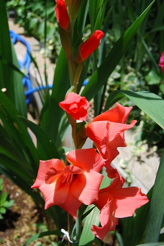 c0124100_16253712.jpg