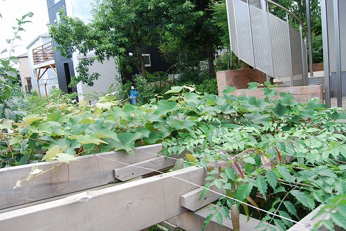 c0124100_1684725.jpg