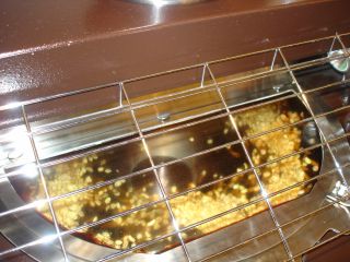 マコとお出かけ!今日はどこかな?_e0166301_15511573.jpg