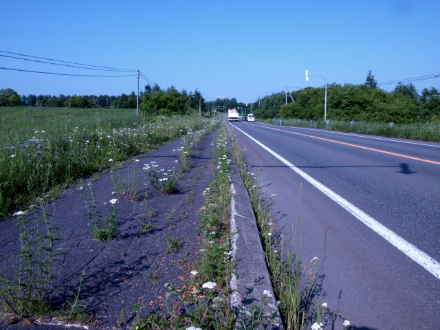 f0020302_2205646.jpg