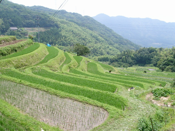 c0036203_6171791.jpg