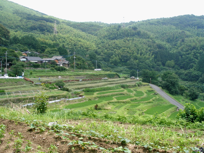 c0036203_694943.jpg
