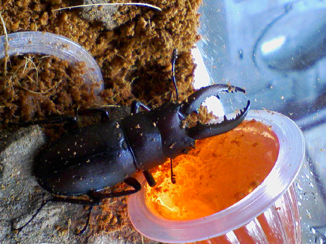 f0197703_17363424.jpg