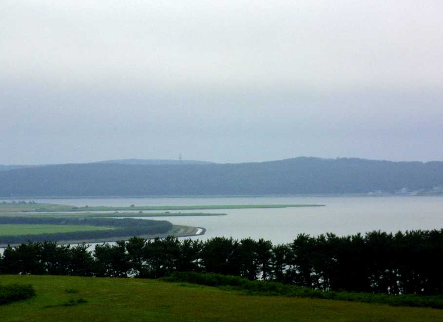 d0140806_10393912.jpg