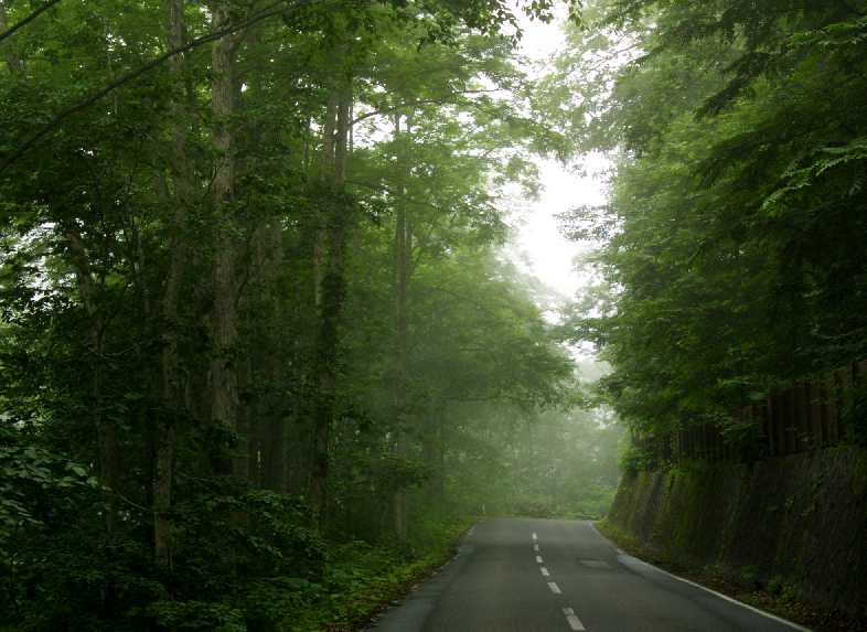 d0140806_22261775.jpg