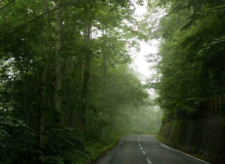 　陸奥一人旅　　八甲田　　　７．７_d0140806_22261775.jpg