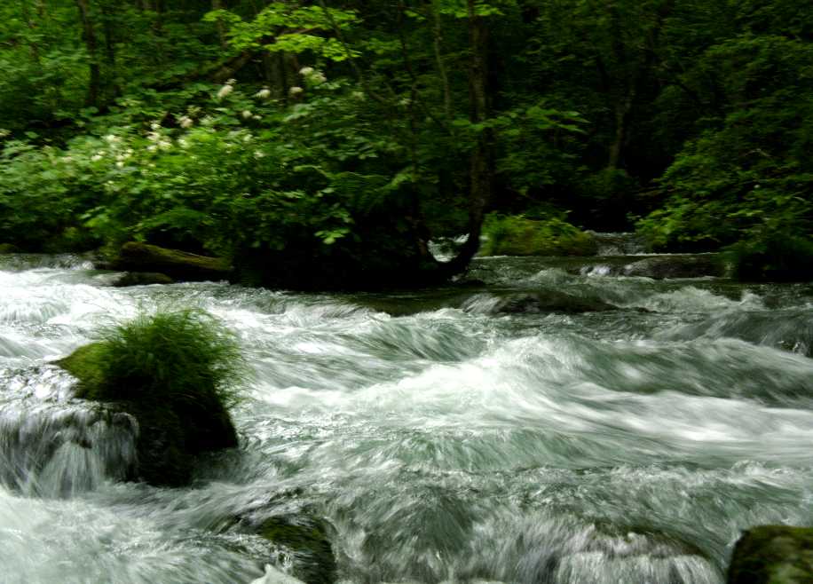 d0140806_2362918.jpg