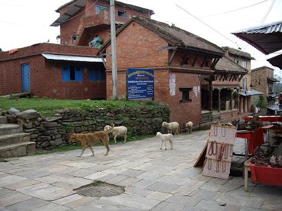 From Nepal 日記 <言葉>_f0042307_11393068.jpg