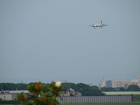 a0041508_173622.jpg