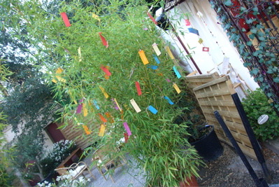 c0167813_1659439.jpg