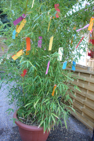 c0167813_1731330.jpg