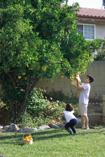 さんざるの夏休み_e0153413_0155731.jpg