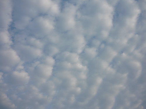 c0188814_014957.jpg