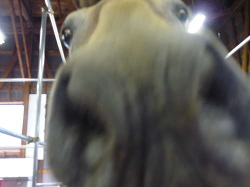 c0188814_035825.jpg