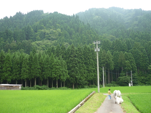 c0188814_04176.jpg