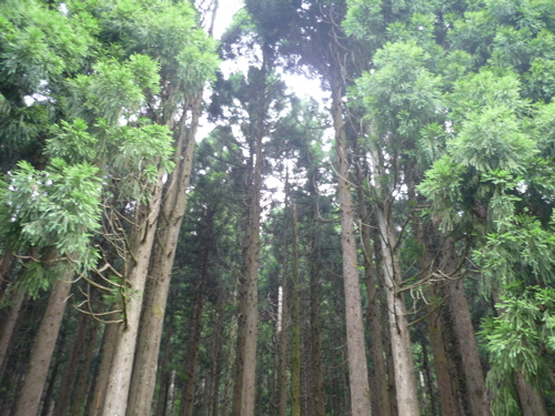 c0188814_2433159.jpg
