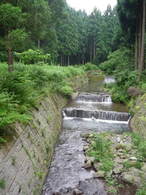 c0188814_2435519.jpg