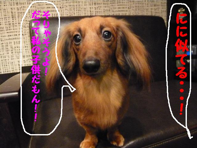 全員集合！！_b0130018_13142059.jpg
