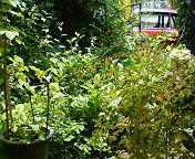 e0011321_12564594.jpg