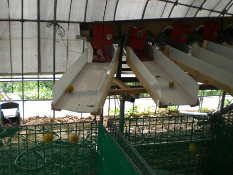 f0142721_17592783.jpg