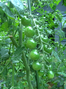 f0147922_12322046.jpg