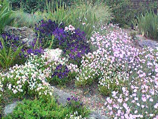 c0067324_1404737.jpg