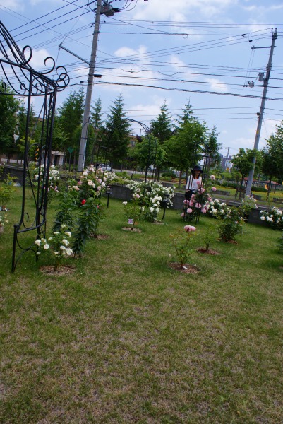 f0170524_1491735.jpg