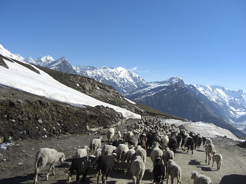 a0118928_15265254.jpg