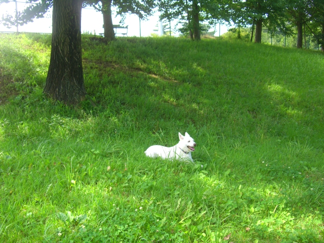 c0123029_14132671.jpg