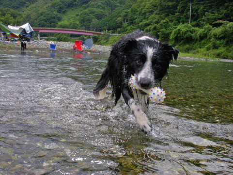 清流浸り。　　　　　　　　　　　　　2009年7月6日_b0106643_1345237.jpg