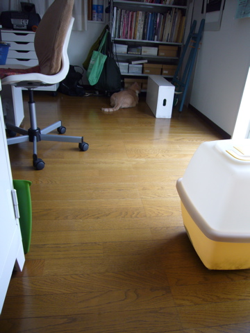 e0058443_12115641.jpg
