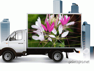 f0031546_215457.gif