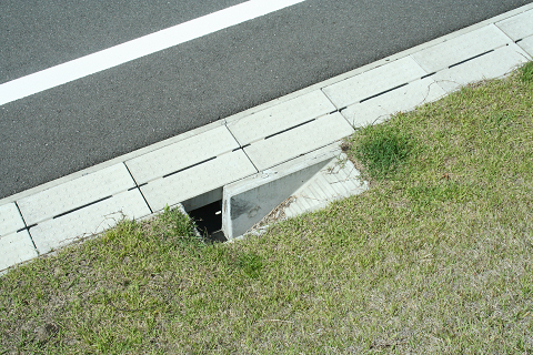 芝の歩道_e0037548_836598.jpg