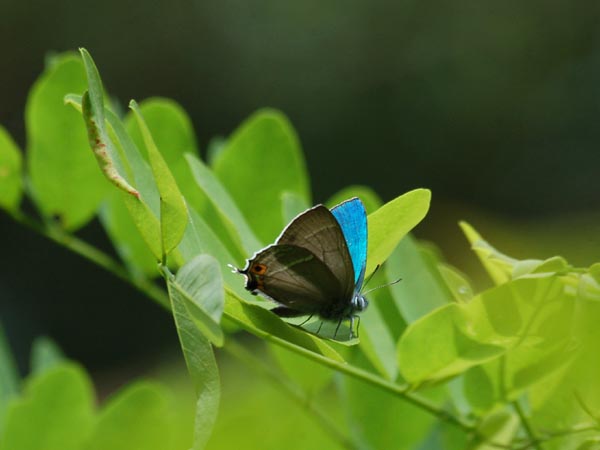 c0045352_16314441.jpg