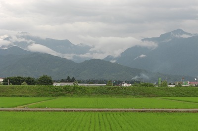 八海山と緑の田んぼ_a0084753_1753352.jpg